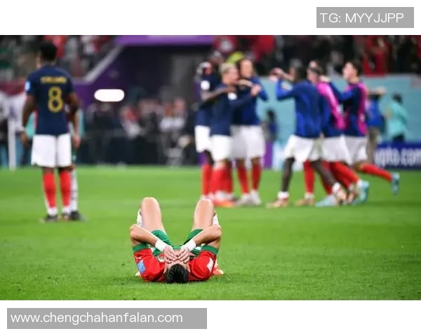 那些年我们一起追逐的绿茵巨星青春热血与足球梦想的记忆