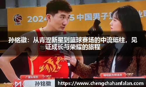 BB贝博登录入口